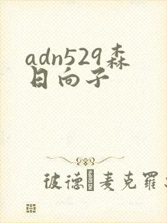 adn529森日向子封面