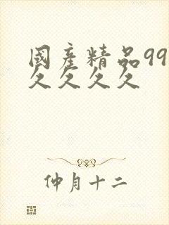 国产精品99久久久久久