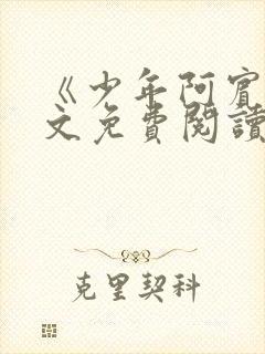 《少年阿宾》全文免费阅读