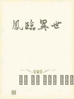 凤临异世封面