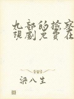 九部的检察官电视剧免费在线观看