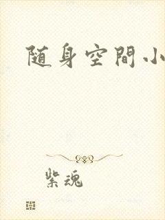 随身空间小说