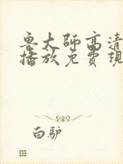 鲁大师高清在线播放免费视频