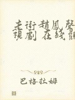 老街赵凤声 电视剧 在线观看