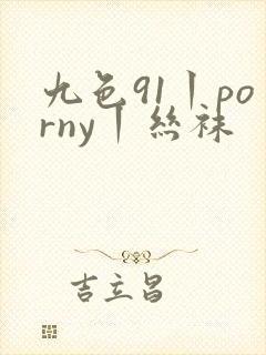 九色91丨porny丨丝袜