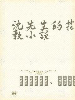 沈先生的花式管教小说封面