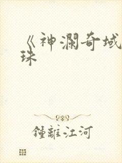 《神澜奇域无双珠封面
