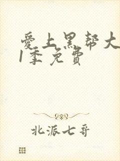 爱上黑帮大佬第1季免费
