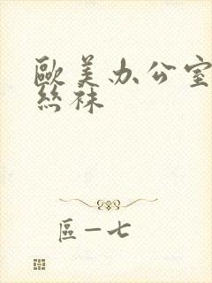 欧美办公室秘书丝袜封面