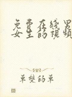 免费在线男生操女生的视频