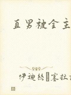 直男被金主操封面