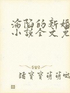 沦陷的新婚少归小说全文免费阅读正