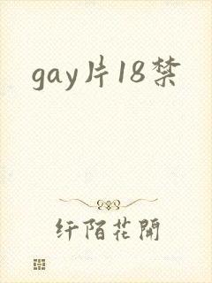 gay片18禁