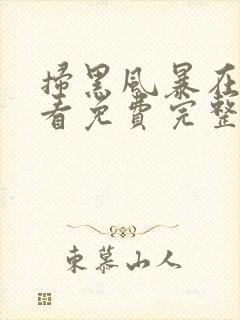 扫黑风暴在线观看免费完整版星辰封面