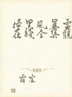 扫黑风暴电视剧在线全集观看封面