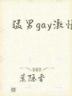 猛男gay激情