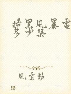 扫黑风暴电视剧多少集