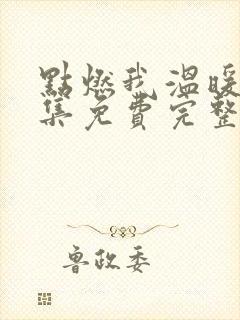点燃我温暖你全集免费完整版38集