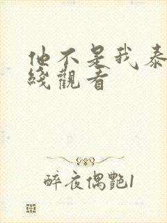 他不是我泰剧在线观看
