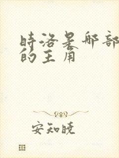 时洛是哪部小说的主角