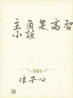主角是高智商的小说