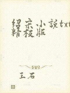 绍宋小说txt精校版封面