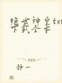 绝世神皇txt下载全本封面