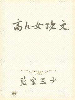 高h女攻文