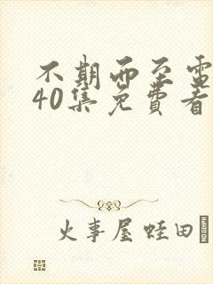 不期而至电视剧40集免费看锦心似玉