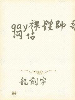 gay裸体帅哥网站封面