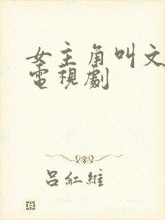 女主角叫文慧的电视剧