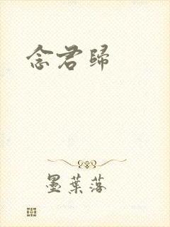 念君归封面