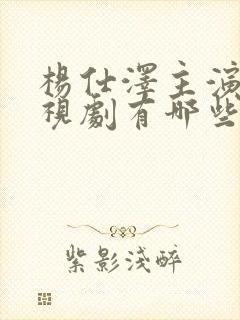 杨仕泽主演的电视剧有哪些