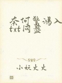 奈何惊鸿入我心txt网盘
