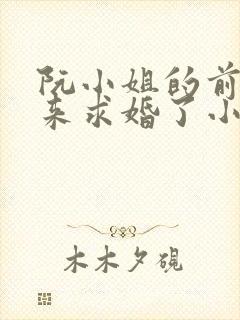阮小姐的前夫又来求婚了小说txt