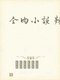 全肉小说 辣文封面