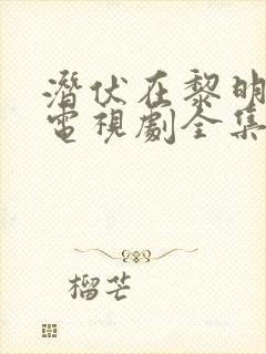 潜伏在黎明之前电视剧全集40集剧情封面
