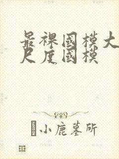 最裸国模大胆大尺度国模