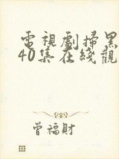 电视剧扫黑风暴40集在线观看免费完整版v
