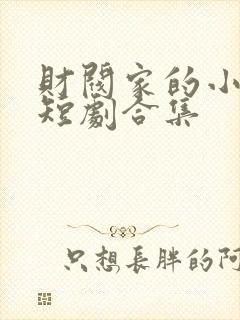 财阀家的小儿子短剧合集
