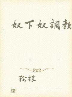 奴下奴调教