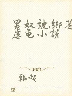 男奴被,绑茎,虐龟小说封面
