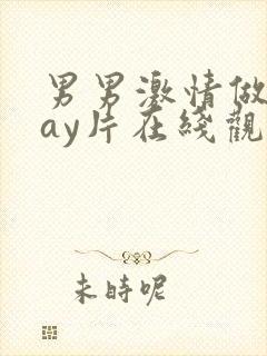 男男激情做爰gay片在线观看封面