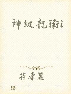 神级龙卫i