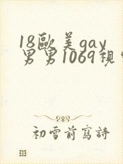 18欧美gay男男1069视频