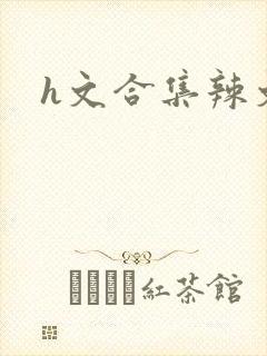 h文合集辣文封面
