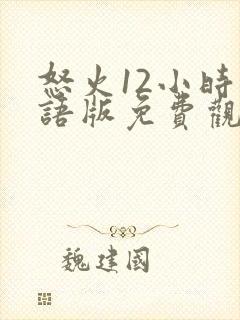 怒火12小时国语版免费观看