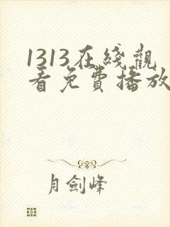 1313在线观看免费播放电视剧