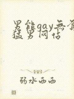 男能gay无套猛男网站