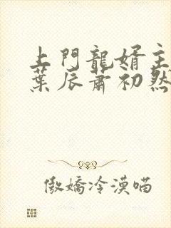 上门龙婿主人公叶辰萧初然